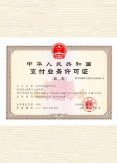 大新荣誉证书